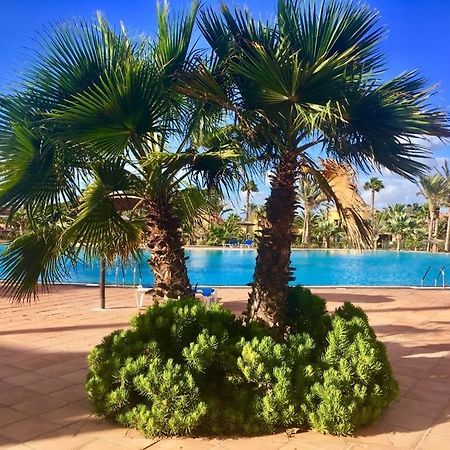 Fuerteventura Apartments Κοραλέχο Εξωτερικό φωτογραφία