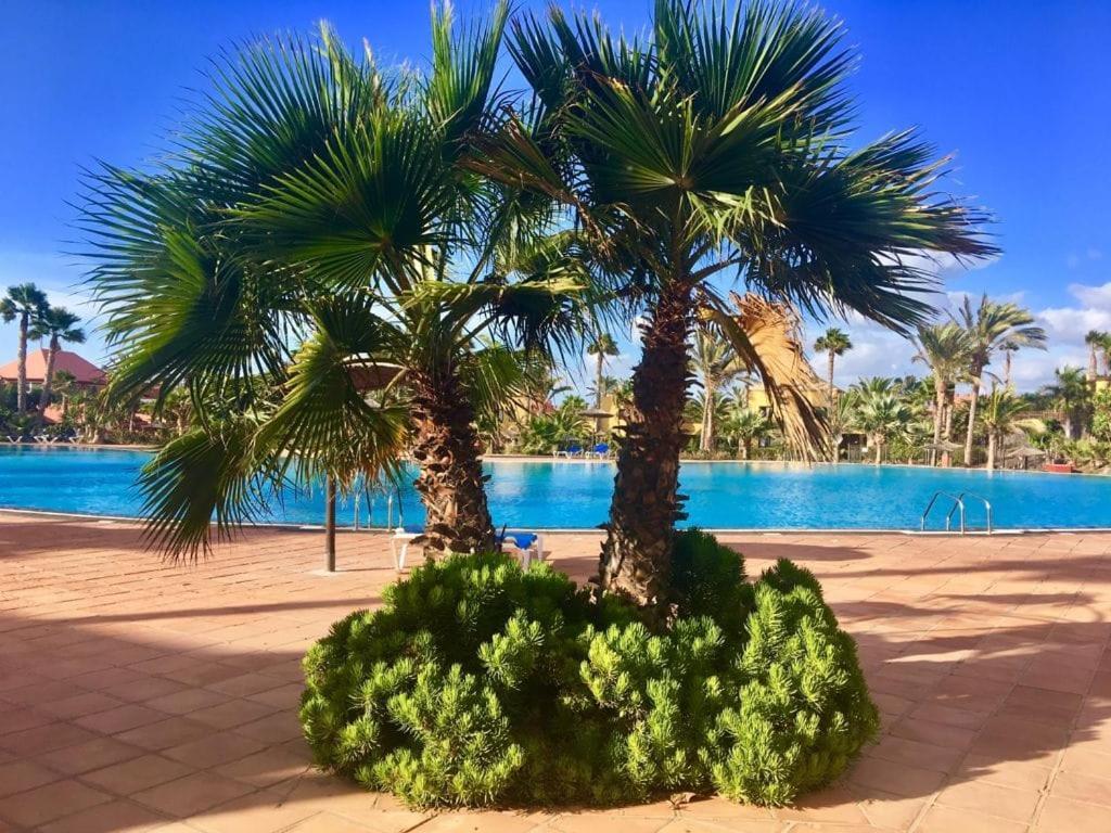 Fuerteventura Apartments Κοραλέχο Εξωτερικό φωτογραφία