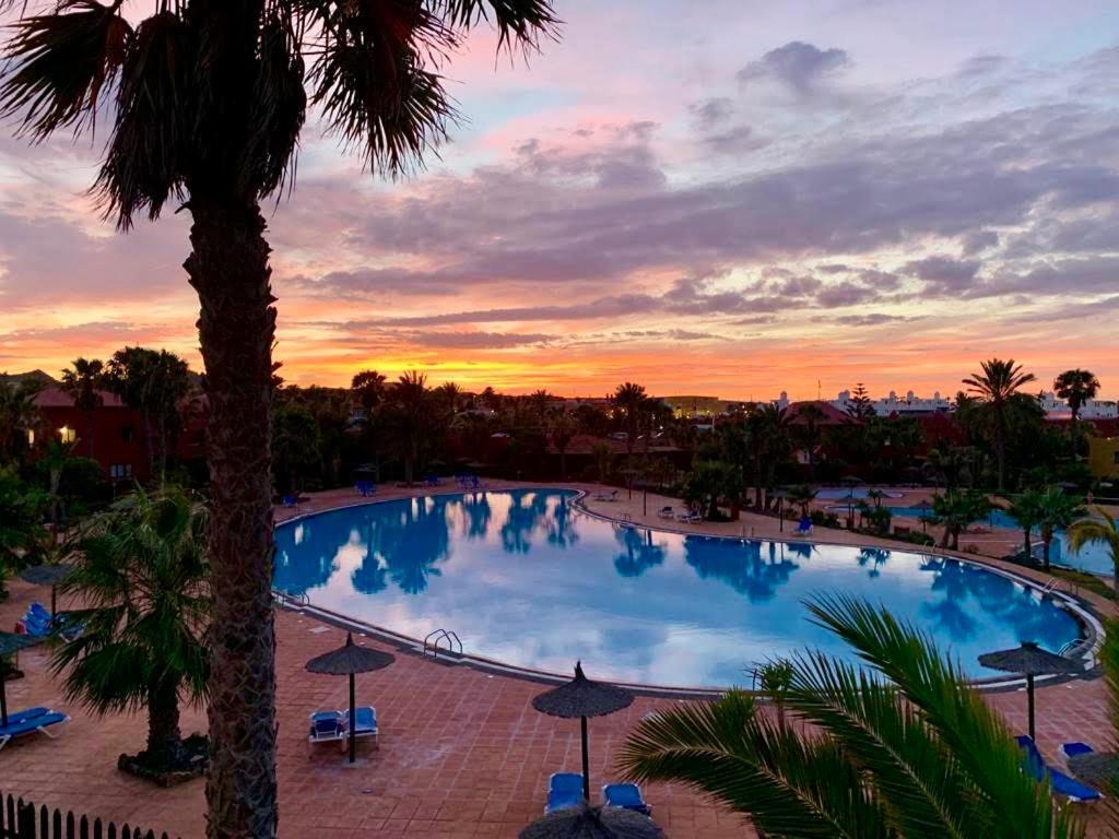Fuerteventura Apartments Κοραλέχο Εξωτερικό φωτογραφία