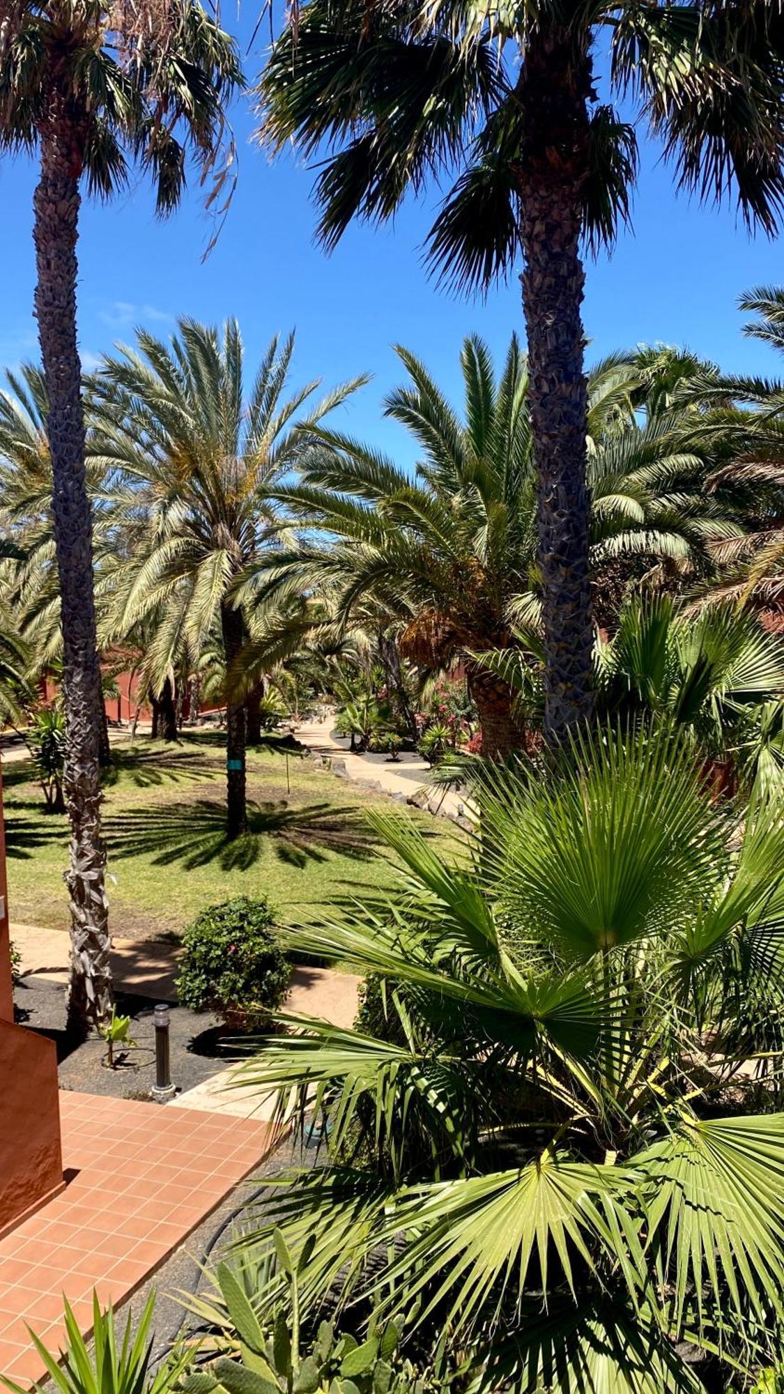 Fuerteventura Apartments Κοραλέχο Εξωτερικό φωτογραφία