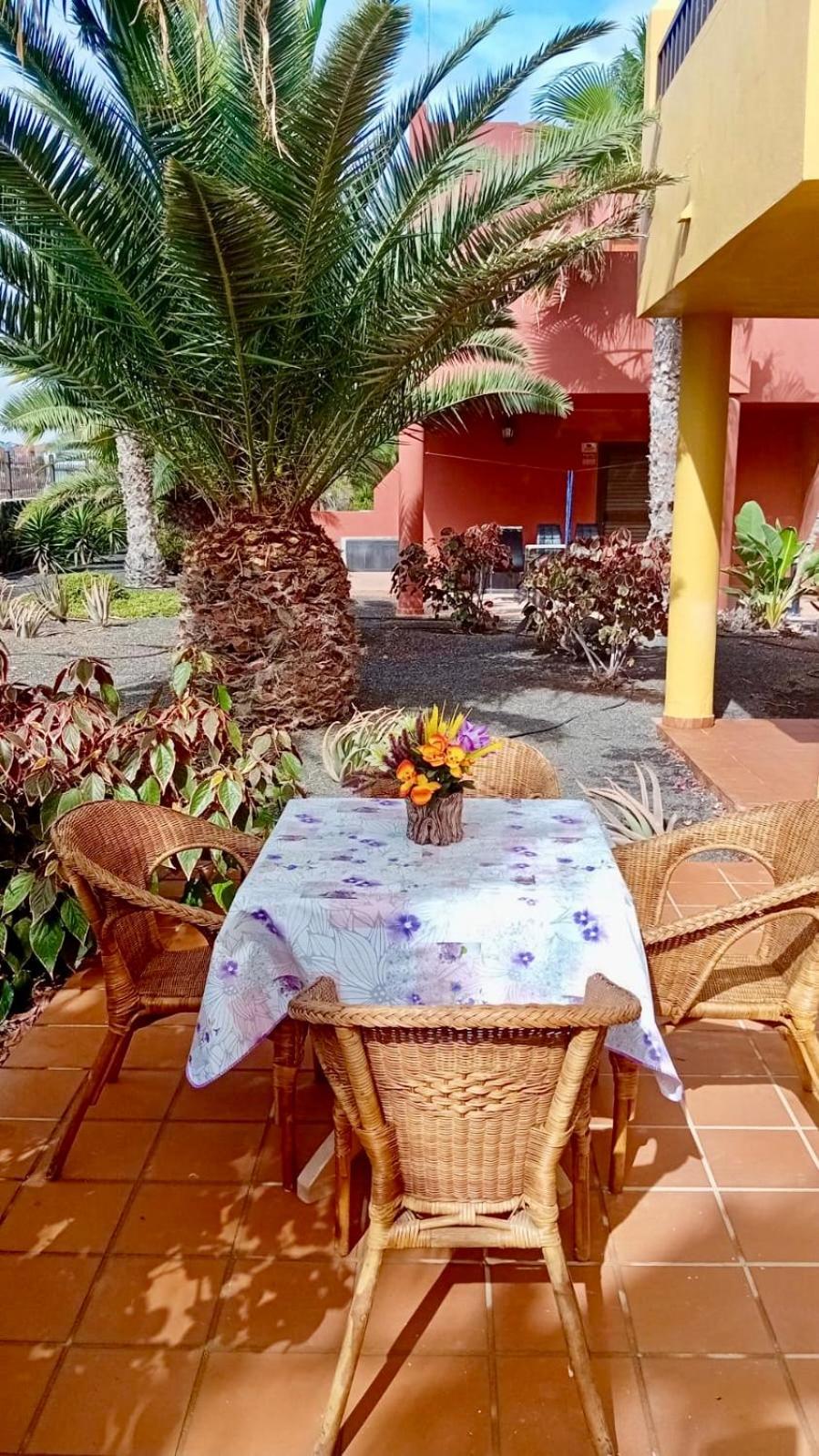 Fuerteventura Apartments Κοραλέχο Εξωτερικό φωτογραφία